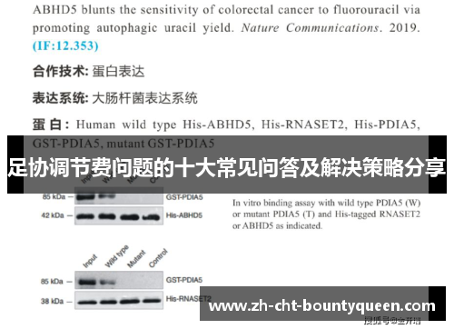 足协调节费问题的十大常见问答及解决策略分享 足协调节费问题的十大常见问答及解决策略分享