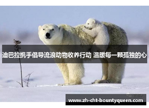 迪巴拉携手倡导流浪动物收养行动 温暖每一颗孤独的心